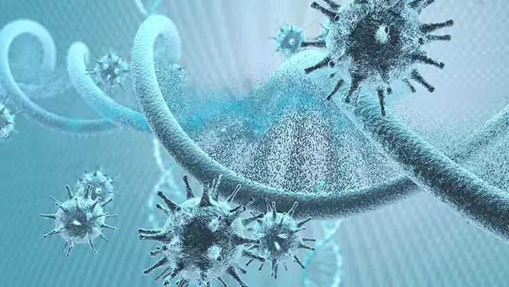 Araştırma Ekiplerimiz