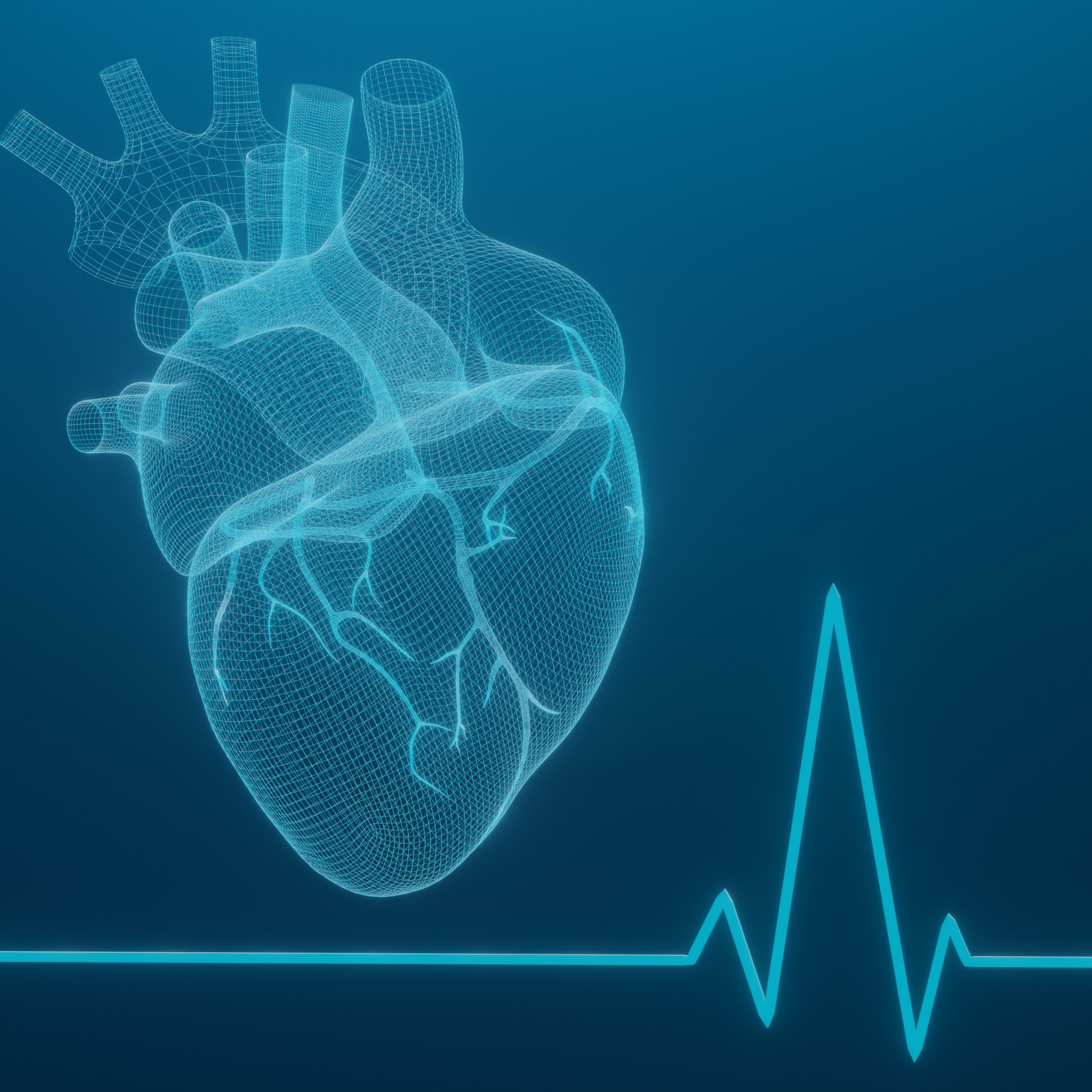 Araştırma Ekiplerimiz