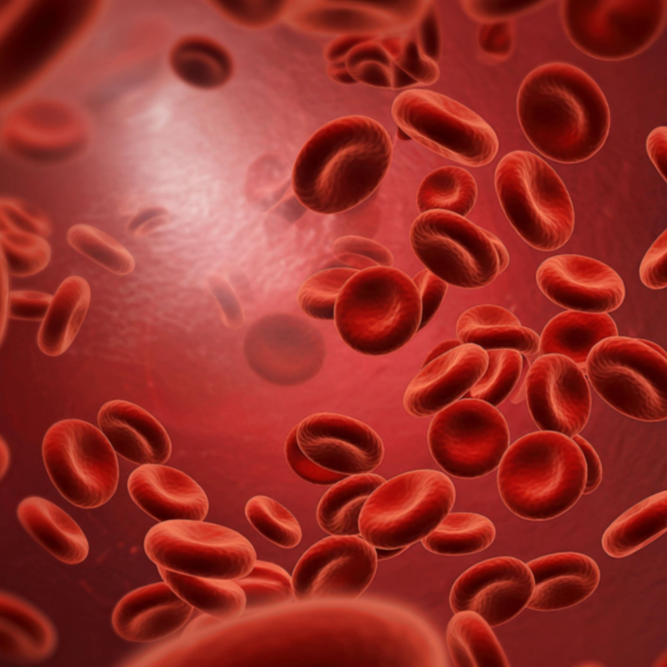 Araştırma Ekiplerimiz