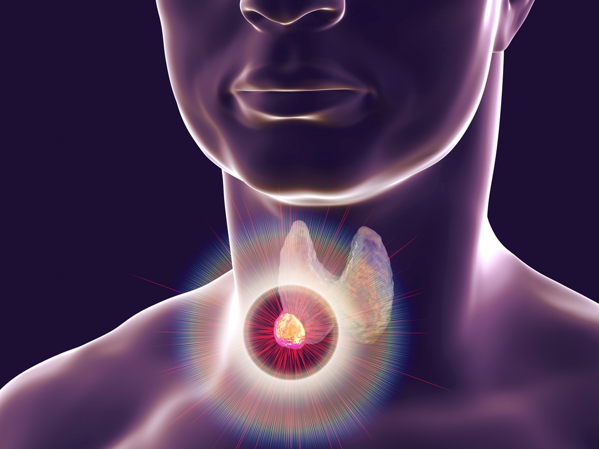 Araştırma Ekiplerimiz