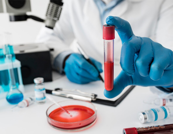 Araştırma Ekiplerimiz